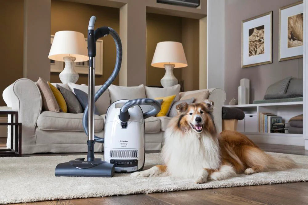 Unleashing the Benefits: Proven Air Purifiers and High-End Vacuums for Pet Owners